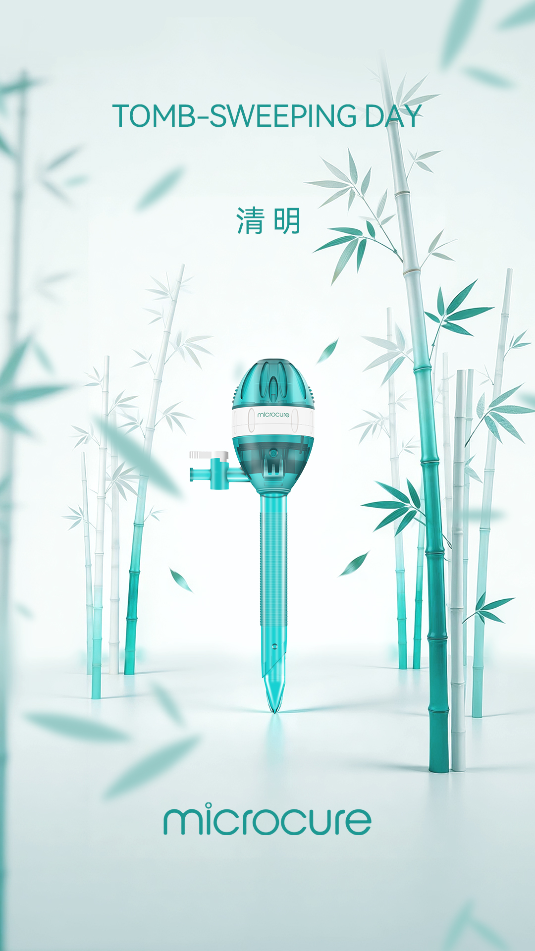 清明(1).jpg